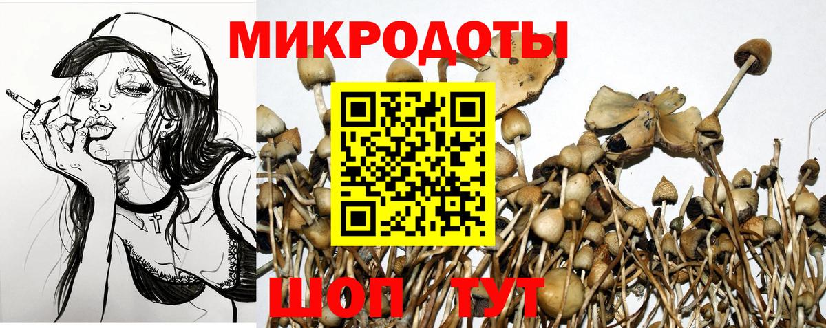 Светлоград  даркнет сайт  Галлюциногенные грибы Cubensis  Вход с VPN  Псилоцибиновые грибы Cubensis 