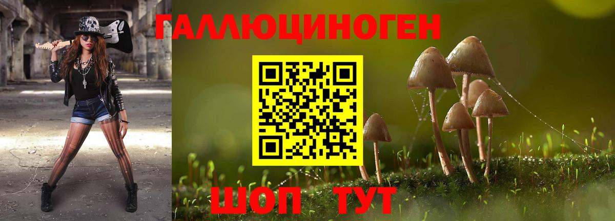 Экстази  A PVP СК   Светлоград  ГАШИШ  Вход с VPN  Каннабис  МЕФ  